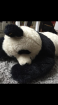 Pandabär liegend Original Steiff